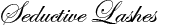 Seductive Lashes Logo